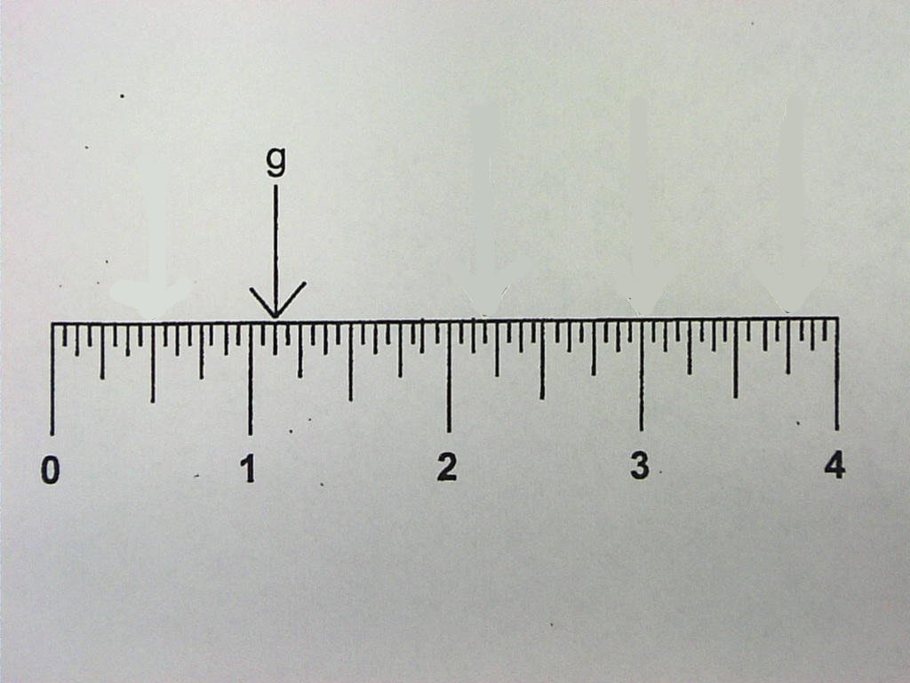 Ruler Measurement Review Quiz - ProProfs Quiz